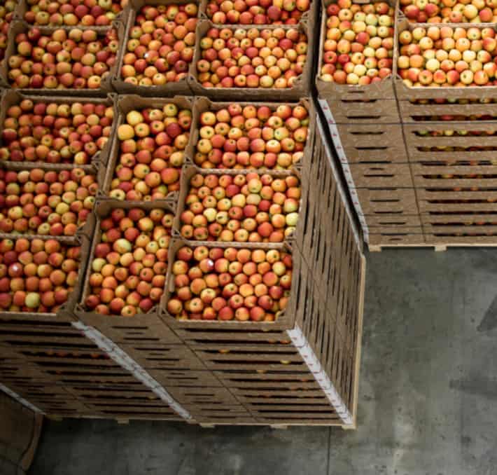Stacks of wooden crates filled with apples are meticulously arranged in a warehouse setting, optimized through cutting-edge food & beverage ERP systems.